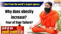 Yoga 02 December 2024: 3 organs are getting damaged due to obesity&hellip; which 5 therapies will burn fat?