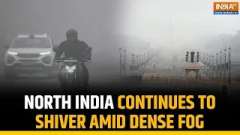 North India shivers as dense fog, icy winds, and chilly mornings bring daily life to a halt