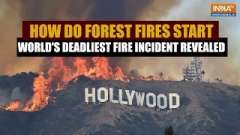 California Wildfires: Why forests catch fire, all about the world's deadliest fire incident