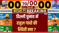 Delhi Assembly Election 2025: What is Rahul Gandhi's position so far in Delhi elections?