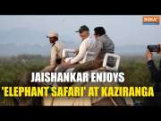 Jaishankar Enjoys  'Elephant Safari' at Kaziranga National Park, Calls It  "Adbhut Experience&rdquo;