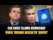Signal Chat Leak: CIA Chief Has Fiery Exchange With Democrat Over Hegseth's Alleged Drinking Habits