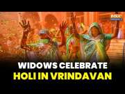 Holi Celebrations 2025: Defying Tradition, Widows Celebrate Holi Defying Traditions At Vrindavan