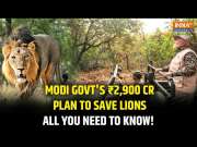 PM Modi Reviews Project Lion In Gujarat: How Does The Project Help Preserve Asiatic Lions?