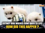 Dire Wolves Brought Back To Life After 12,000 Years: All About The Scientific Process Behind It!