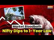 India Stock Market Bloodbath: Nifty Dips to 1-Year Low, Sensex Down 5%