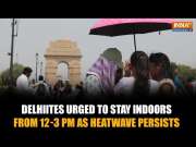 Delhi-NCR Heat Alert: Stay Indoors 12&ndash;3 PM, Warns TERI Director Suruchi Bhadwal