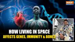 As Shubhanshu Shukla Lifts Off, Do You Know How Space Can Affect the Human Body?