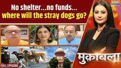 Muqabla: No shelter&hellip;no funds&hellip;where will the stray dogs go?