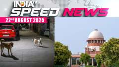 Speed News: SC Orders Release Of Stray Dogs After Vaccination, Bans Feeding In Public Places 