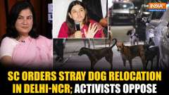 Delhi Stray Dogs Menace: SC Orders Permanent Relocation of Stray Dogs; Activists Term It Impractical