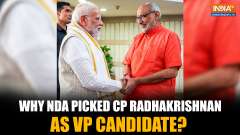 Vice President Election: RSS, Caste Factor & Tamil Nadu &ndash;Why NDA Chose CP Radhakrishnan as Candidate
