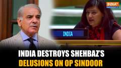 India Shatters Shehbaz Sharif's Claims on Op Sindoor at UNGA, Reminds World of Osama Bin Laden