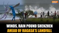 Typhoon Ragasa Hits Southern China: Strong Winds, Heavy Rainfall Lash Shenzhen and Guangdong