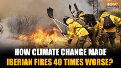 Is Climate Change Behind Europe's Deadly Iberian Wildfires- Here's What Study Reveals!