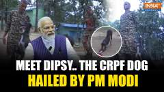 Heroic CRPF Dog Dipsy: First Shield in Naxal Encounter Recognized by PM Modi | India TV English