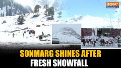 Kashmir's Sonmarg Transforms into a Winter Wonderland After Fresh Snowfall