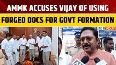 TN Politics: Dhinakaran Slams Vijay's TVK Over 'Fake' Papers; Backs EPS for CM