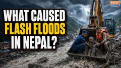 Nepal Floods: Over 160 Dead, Several Indians Remain Missing; What Triggered the Disaster? 