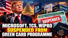 Trump Administration Suspends Green Card Processing for Infosys, TCS, Wipro: What Indians Must Know
