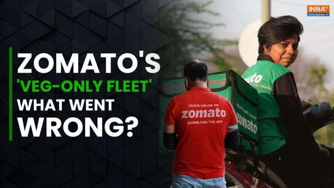 Zomato Controversy: What Went Wrong With 'Zomato Veg-Only Fleet', How ...