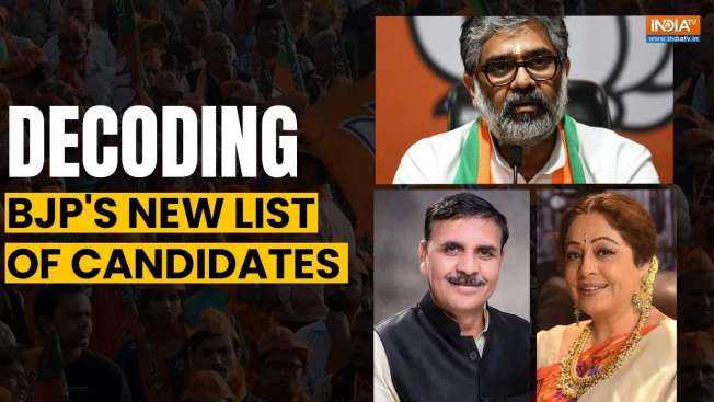 Lok Sabha 2024 Polls: Decoding BJP