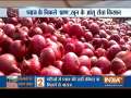 Onions plunge to Rs 1.50 in Maharashtra, farmers lose hope