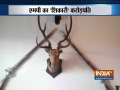 Endangered animal skin and buck heads found at Ashwin sharma's residence