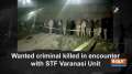 Wanted criminal killed in encounter with STF Varanasi Unit