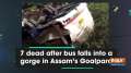7 dead after bus falls into a gorge in Assam's Goalpara