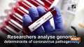 Researchers analyse genomic determinants of coronavirus pathogenicity