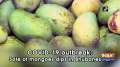 COVID-19 outbreak: Sale of mangoes dips in Bhubaneswar