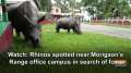 Watch: Rhinos spotted near Morigaon's Range office campus in search of food