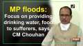 MP floods: Focus on providing drinking water, food to sufferers, says CM Chouhan