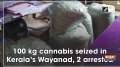 100 kg cannabis seized in Kerala's Wayanad, 2 arrested