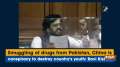 Smuggling of drugs from Pakistan, China is conspiracy to destroy country's youth: Ravi Kishan
