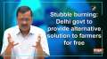 Stubble burning: Delhi govt to provide alternative solution to farmers for free
