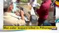 Man-eater leopard killed in Pithoragarh