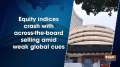 Equity indices crash with across-the-board selling amid weak global cues