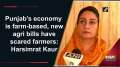 Punjab's economy is farm-based, new agri bills have scared farmers: Harsimrat Kaur