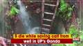 5 die while saving calf from well in UP's Gonda