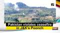 Pakistan violates ceasefire in J&K's Poonch