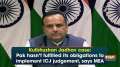 Kulbhushan Jadhav case: Pak hasn't fulfilled its obligations to implement ICJ judgement, says MEA