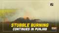 Stubble burning continues in Punjab