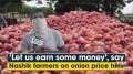 'Let us earn some money', say Nashik farmers on onion price hike