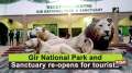 Gir National Park and Sanctuary re-opens for tourists