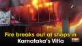 Fire breaks out at shops in Karnataka's Vitla
