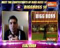 Meet Bigg Boss 14 contestant Eijaz Khan