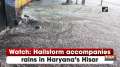 Watch: Hailstorm accompanies rains in Haryana's Hisar
