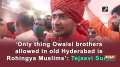 'Only thing Owaisi brothers allowed in Hyderabad is Rohingya Muslims': Tejasvi Surya